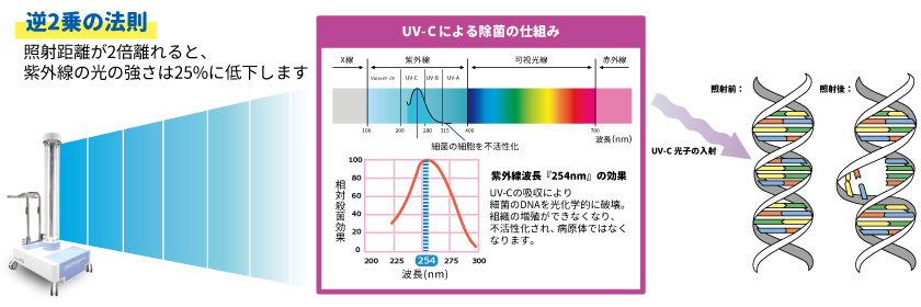 逆2乗の法則/UV-Cによる除菌の仕組み